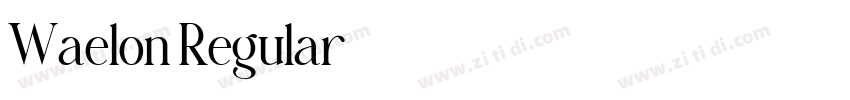 Waelon Regular字体转换